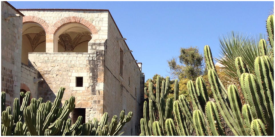 jardín etnobotánico, el esplendor de oaxaca